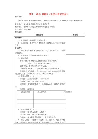 江苏省连云港市岗埠中学九年级化学下册 第十一单元 课题1《生活中常见的盐》教案1 （新版）新人教版