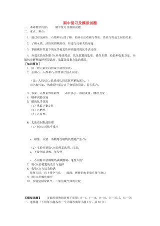 湖南省醴陵市青云学校九年级化学上册 10 期中复习及模拟试题辅导教学案 新人教版