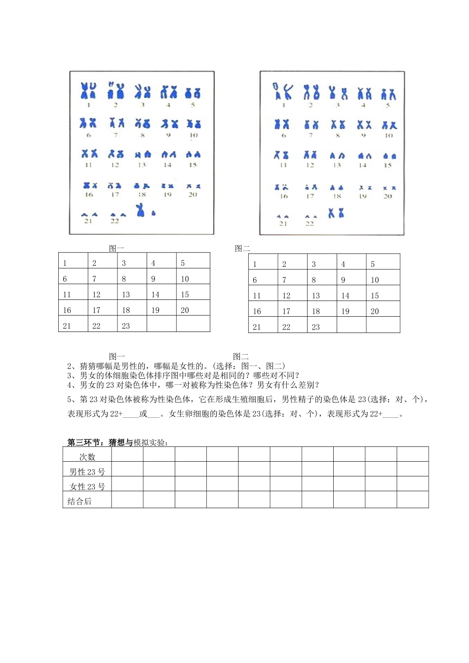 八年级生物下册 人的性别遗传导学案 （新版）新人教版_第3页