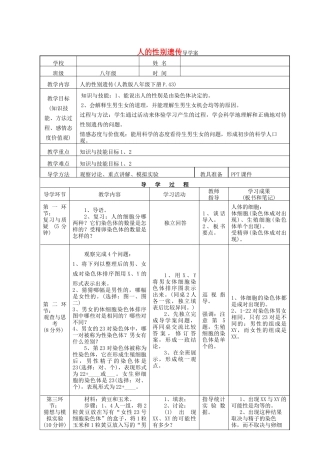 八年级生物下册 人的性别遗传导学案 （新版）新人教版