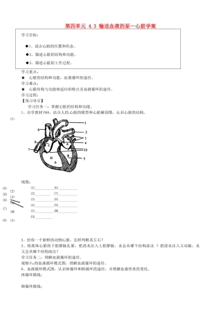 黑龙江省五常市第三中学七年级生物下册 第四单元 4.3 输送血液的泵—心脏学案（无答案） 新人教版