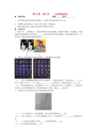 八年级生物上册 第15章第三节人的性状决定学案（无答案） 上教版