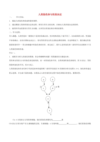 八年级生物上册 4.4.3人类染色体与性别决定导学案 （新版）济南版-（新版）济南版初中八年级上册生物学案