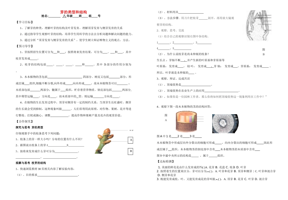 八年级生物上册 第一章 绿色开花植物的一生第六节芽的结构和类型学案 济南版_第1页