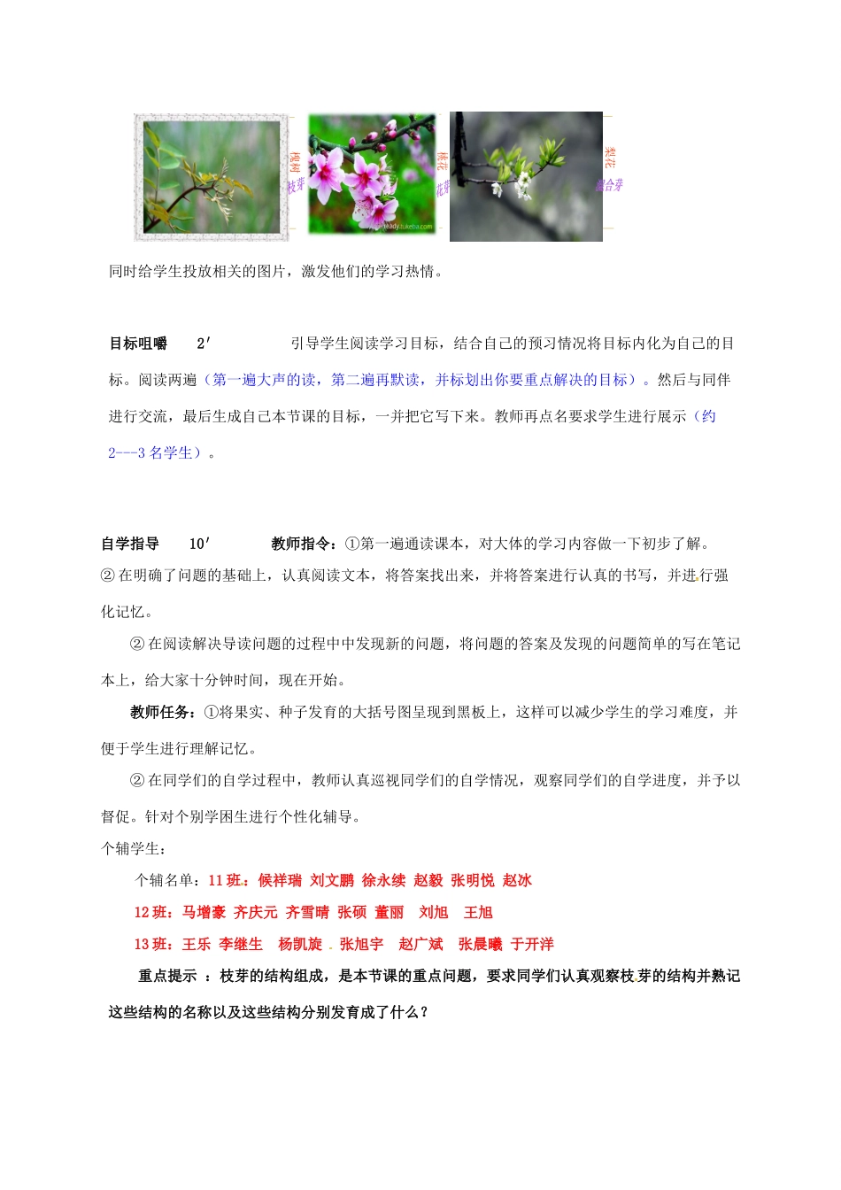 八年级生物上册 4.1.6 芽的类型和发育导学案 （新版）济南版-（新版）济南版初中八年级上册生物学案_第2页