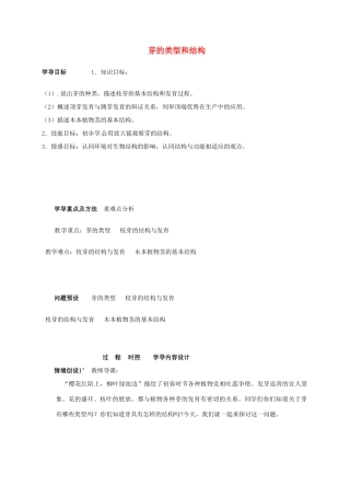 八年级生物上册 4.1.6 芽的类型和发育导学案 （新版）济南版-（新版）济南版初中八年级上册生物学案