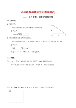 八年级数学期末复习教学案(5)勾股定理、勾股定理的应用人教版