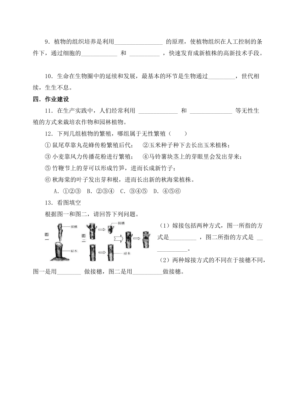 八年级生物 植物的生殖导学案 人教新课标版_第2页