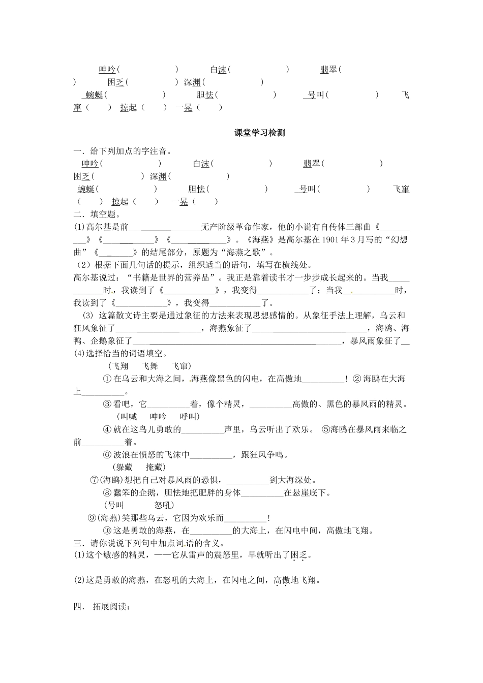 江苏省东台市唐洋镇中学八年级语文下册《第1课 海燕》讲学案 苏教版_第3页
