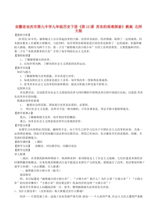 安徽省安庆市第九中学九年级历史下册《第12课 苏东的艰难探索》教案 北师大版