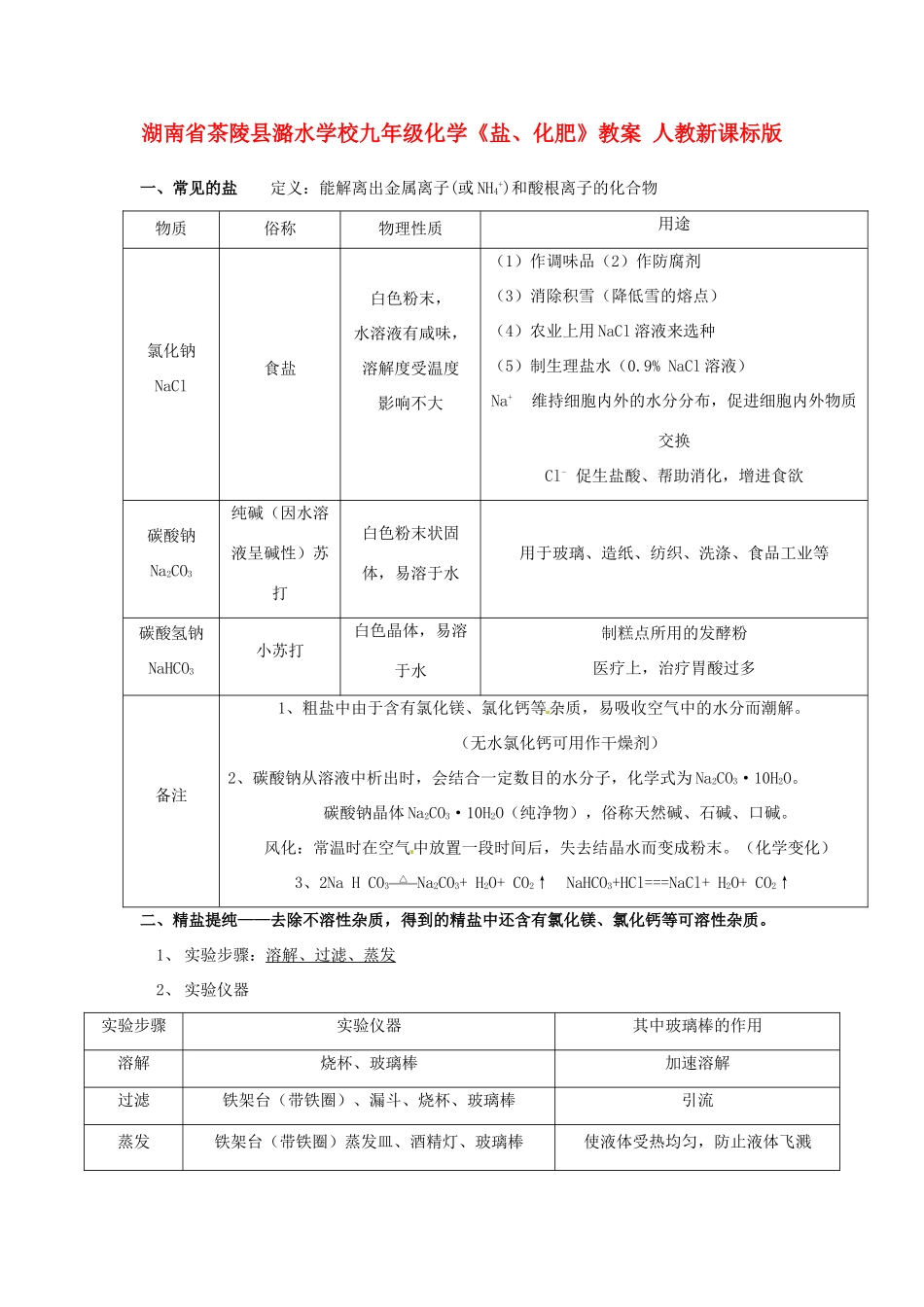 湖南省茶陵县潞水学校九年级化学《盐、化肥》教案 人教新课标版_第1页