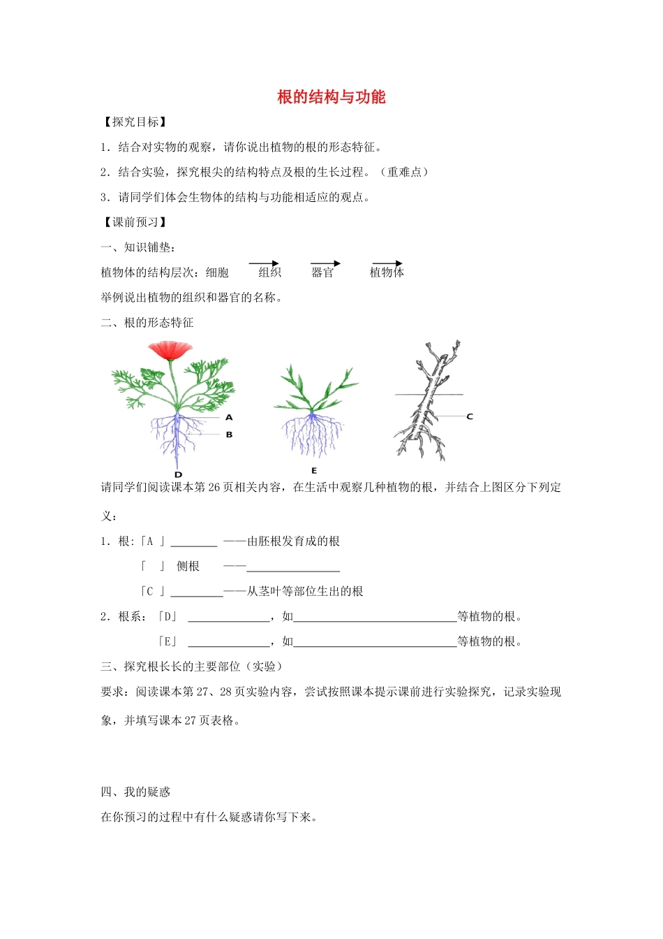 八年级生物上册 4.1.5《根的结构与功能》导学案1（无答案）（新版）济南版-（新版）济南版初中八年级上册生物学案_第1页
