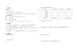 安徽霍山文峰学校八年级生物上册 细菌导学案 人教版
