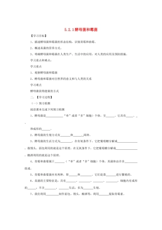 八年级生物上册 5.2.1 酵母菌和霉菌导学案 （新版）冀教版-（新版）冀教版初中八年级上册生物学案