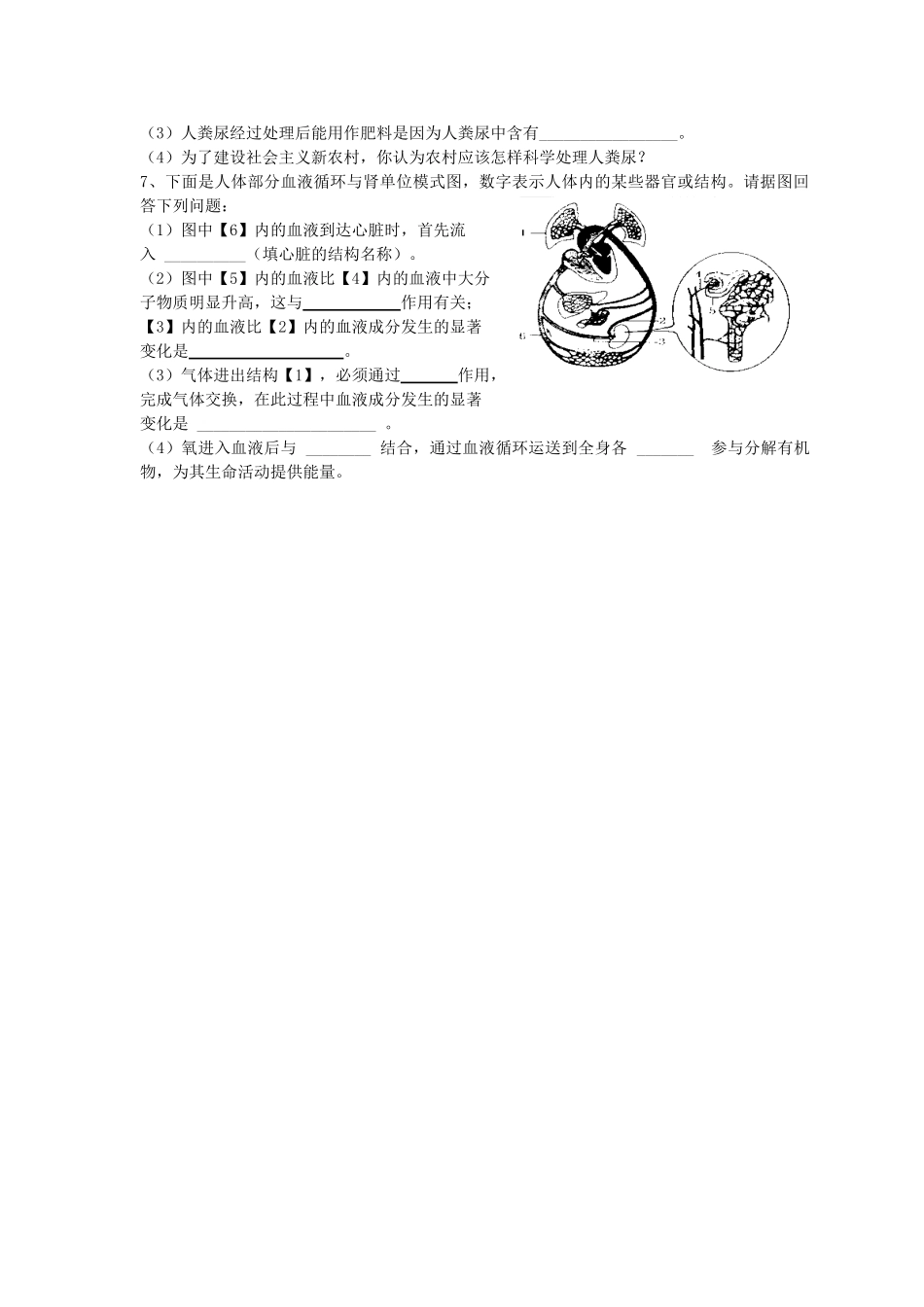 湖南省茶陵县世纪星实验学校七年级生物《第五章人体内废物的排出》学案 人教新课标版_第3页