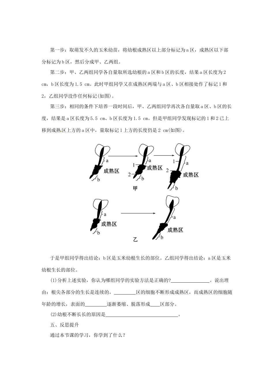 八年级生物上册 3.2.1 根的生长导学案 （新版）冀教版-（新版）冀教版初中八年级上册生物学案_第3页