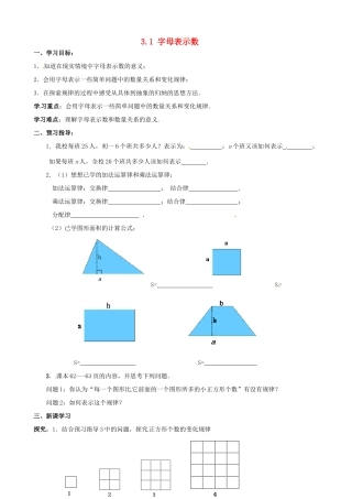 江苏省南京市高淳外国语学校七年级数学31《字母表示数》教学案