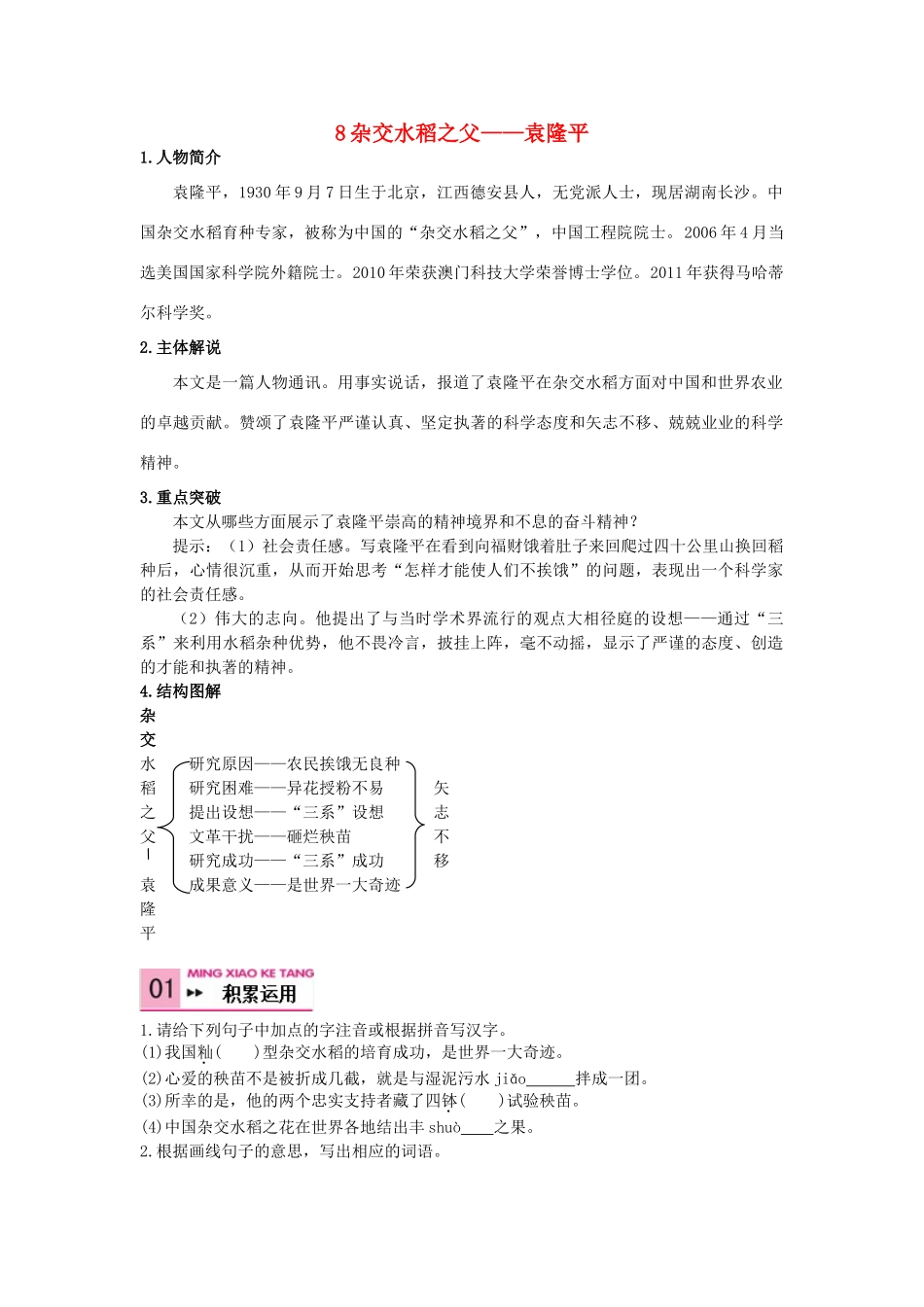 八年级语文上册 8 杂交水稻之父——袁隆平学案 语文版-语文版初中八年级上册语文学案_第1页