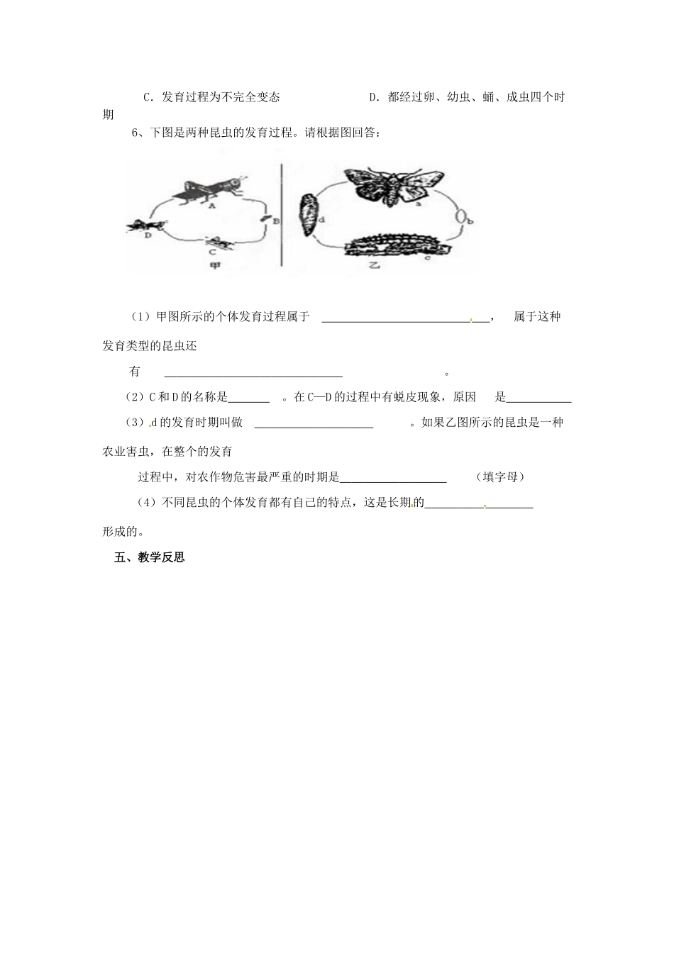 湖南省吉首市民族中学八年级生物《昆虫的生殖和发育》学案 人教新课标版_第3页