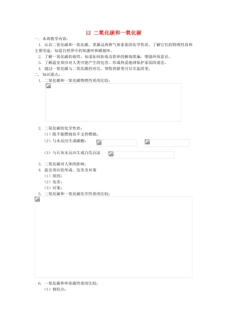 湖南省醴陵市青云学校九年级化学上册 12 二氧化碳和一氧化碳辅导教学案 新人教版