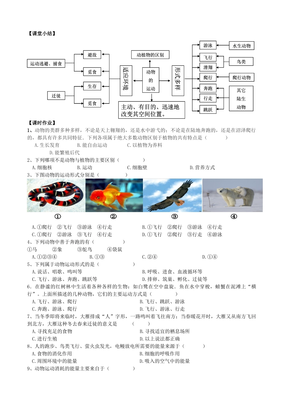 八年级生物上册 第六单元 第十七章 第一节 动物运动的形式和能量供应学案（含解析）（新版）苏教版_第2页