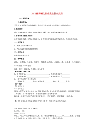 湖北省黄石市第十中学九年级化学下册 10.2 酸和碱之间会发生什么反应教案 新人教版