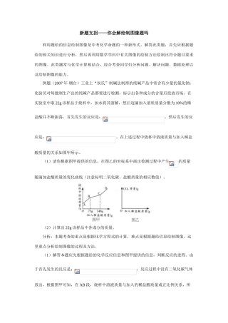 初三化学新题支招—你会解绘制图像题吗