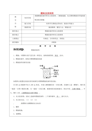 黑龙江省鸡西市恒山区中考化学 第13讲 燃料及其利用复习教案-人教版初中九年级全册化学教案
