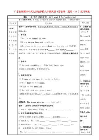 广东省河源市中英文实验学校九年级英语《形容词、副词（1）》复习学案