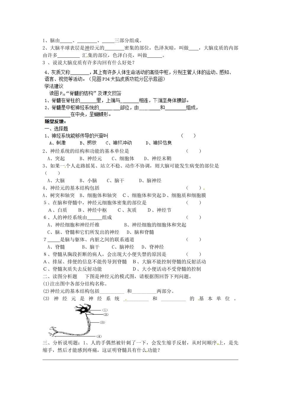 江苏省徐州市沛县杨屯中学八年级生物上册 15.1 人体的神经调节讲学稿1（无答案） 苏科版_第2页
