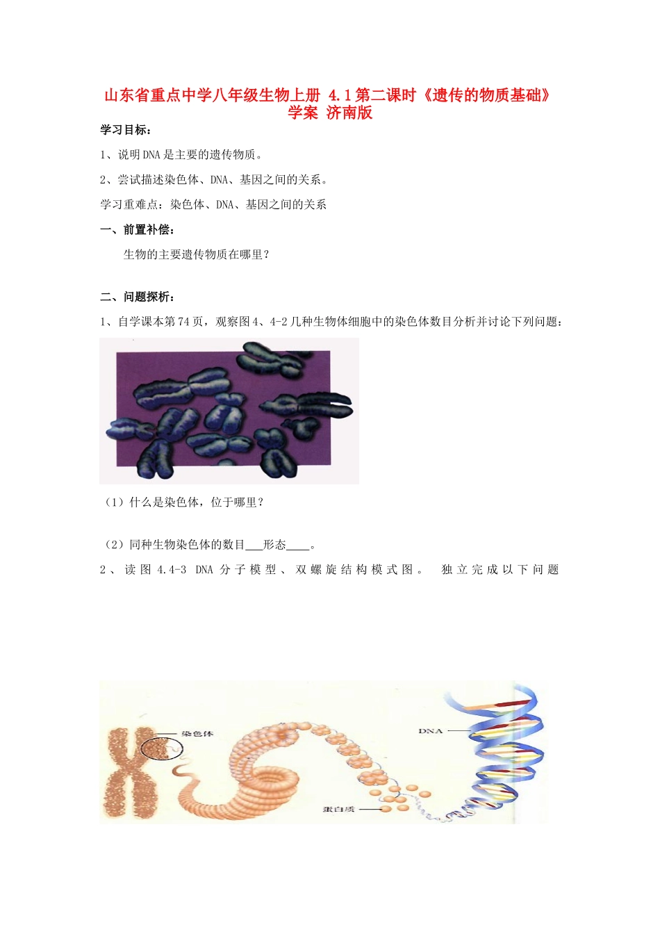 山东省重点中学八年级生物上册 4.1第二课时《遗传的物质基础》学案 济南版_第1页
