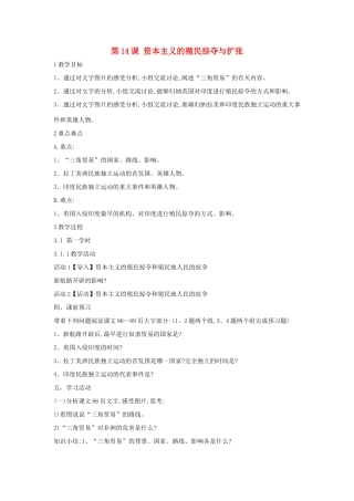 九年级历史上册 第14课 资本主义的殖民掠夺与扩张教案2 中华书局版-中华书局版初中九年级上册历史教案