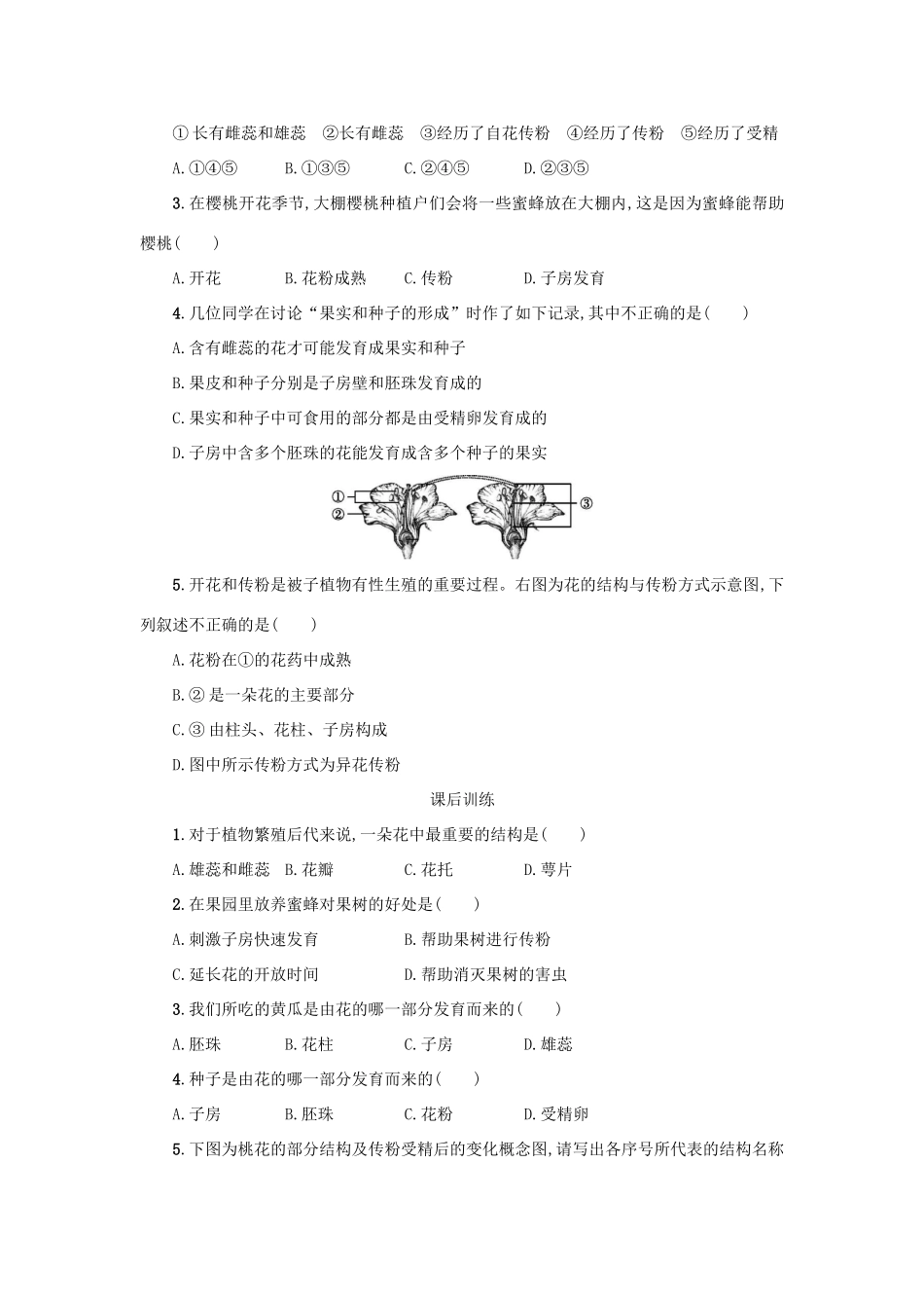 山西省吕梁市临县四中七年级生物上册 3.2.3 开花和结果学案 （新版）新人教版-（新版）新人教版初中七年级上册生物学案_第3页