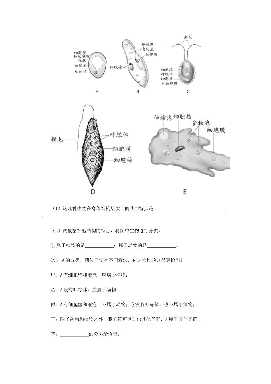 天津市小站第一中学七年级生物上册 2.3.3 只有一个细胞的生物体同步练习 新人教版_第3页