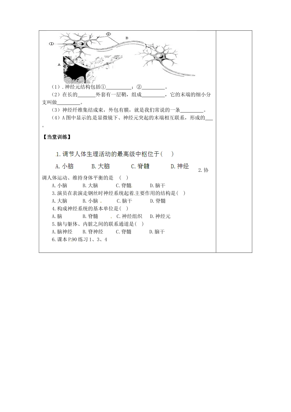 陕西省西安市庆安高级中学七年级生物下册 4.6.2 神经系统的组成导学案（无答案） 新人教版_第2页