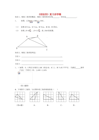 九年级数学下册 《相似形》复习讲学稿 人教新课标版