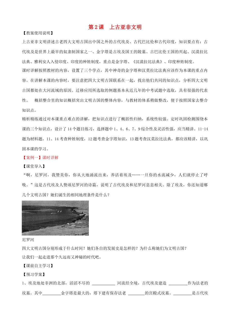 九年级历史上册 第2课 上古亚非文明教学案 川教版-川教版初中九年级上册历史教学案_第1页