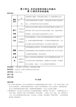 新人教版九年级历史下册12 亚非拉的奋起教案
