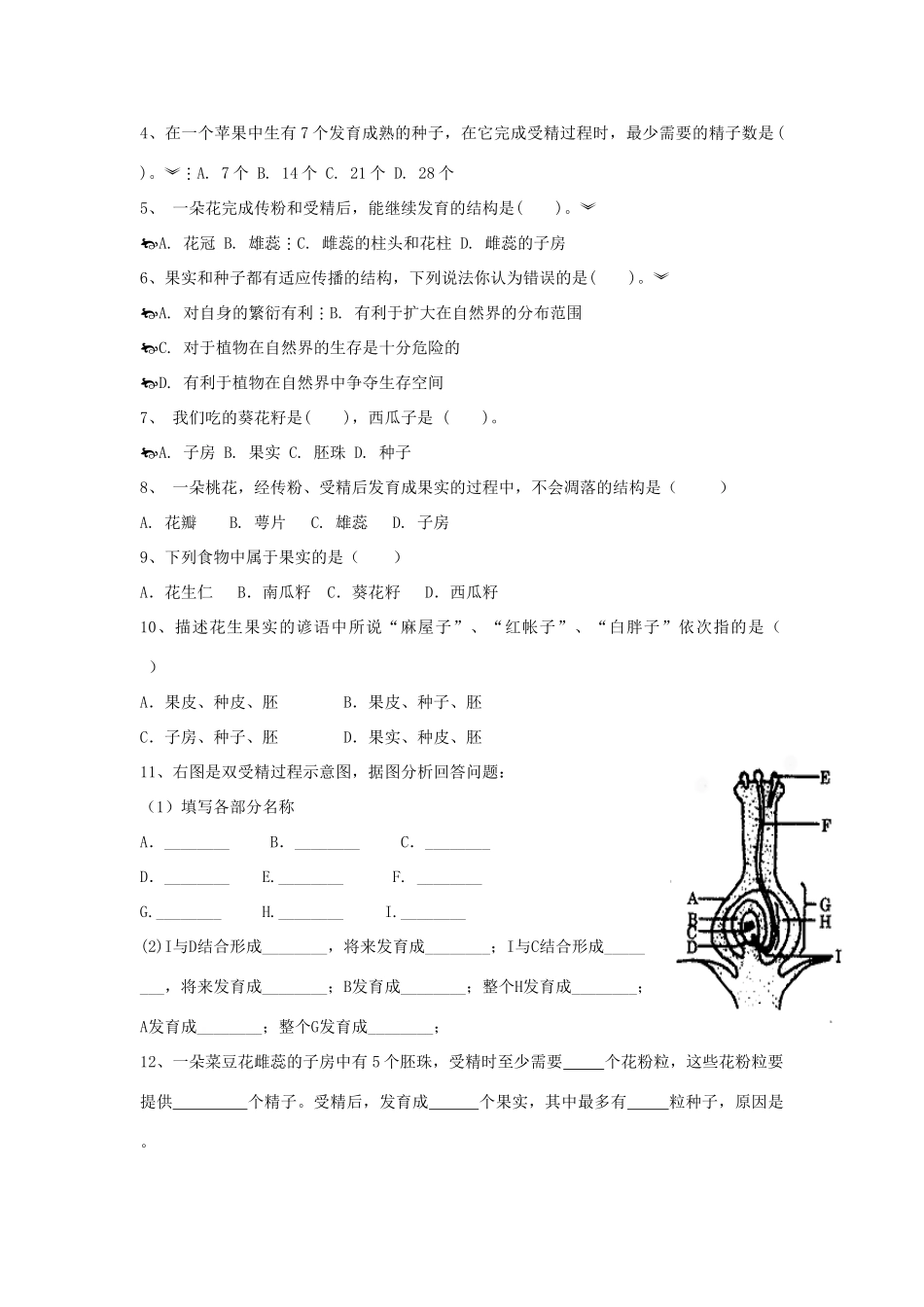 山东省重点中学八年级生物上册 1.3第一课时《果实和种子的形成》 济南版_第2页