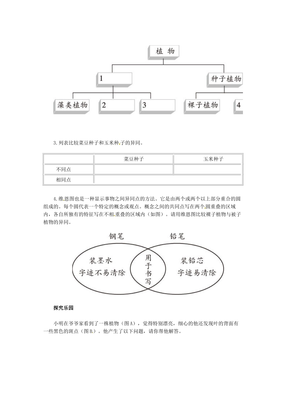天津市小站第一中学七年级生物上册 3.1.2 种子植物同步练习 新人教版_第2页
