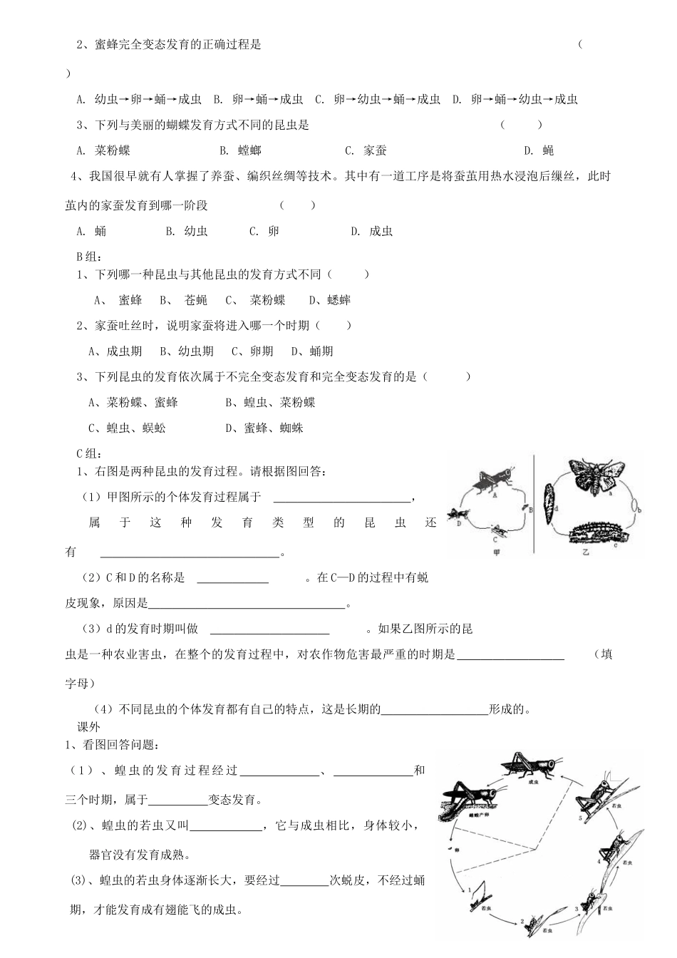 八年级生物上册 第14章第三节昆虫的生殖与发育学案（无答案） 上教版_第2页