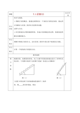 九年级数学下册 第七章《锐角三角函数》精品教学案 苏科版