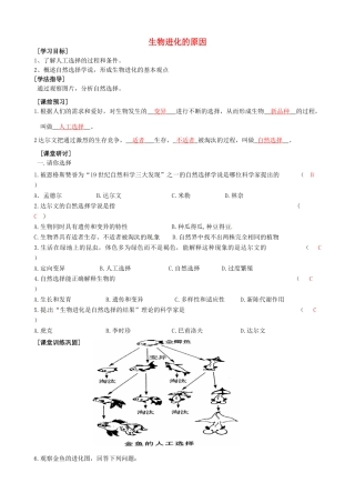 江苏省铜山区八年级生物下册 第7单元 生命的延续与进化 第23章 第3节《生物进化的原因》学案 （新版）苏科版-（新版）苏科版初中八年级下册生物学案