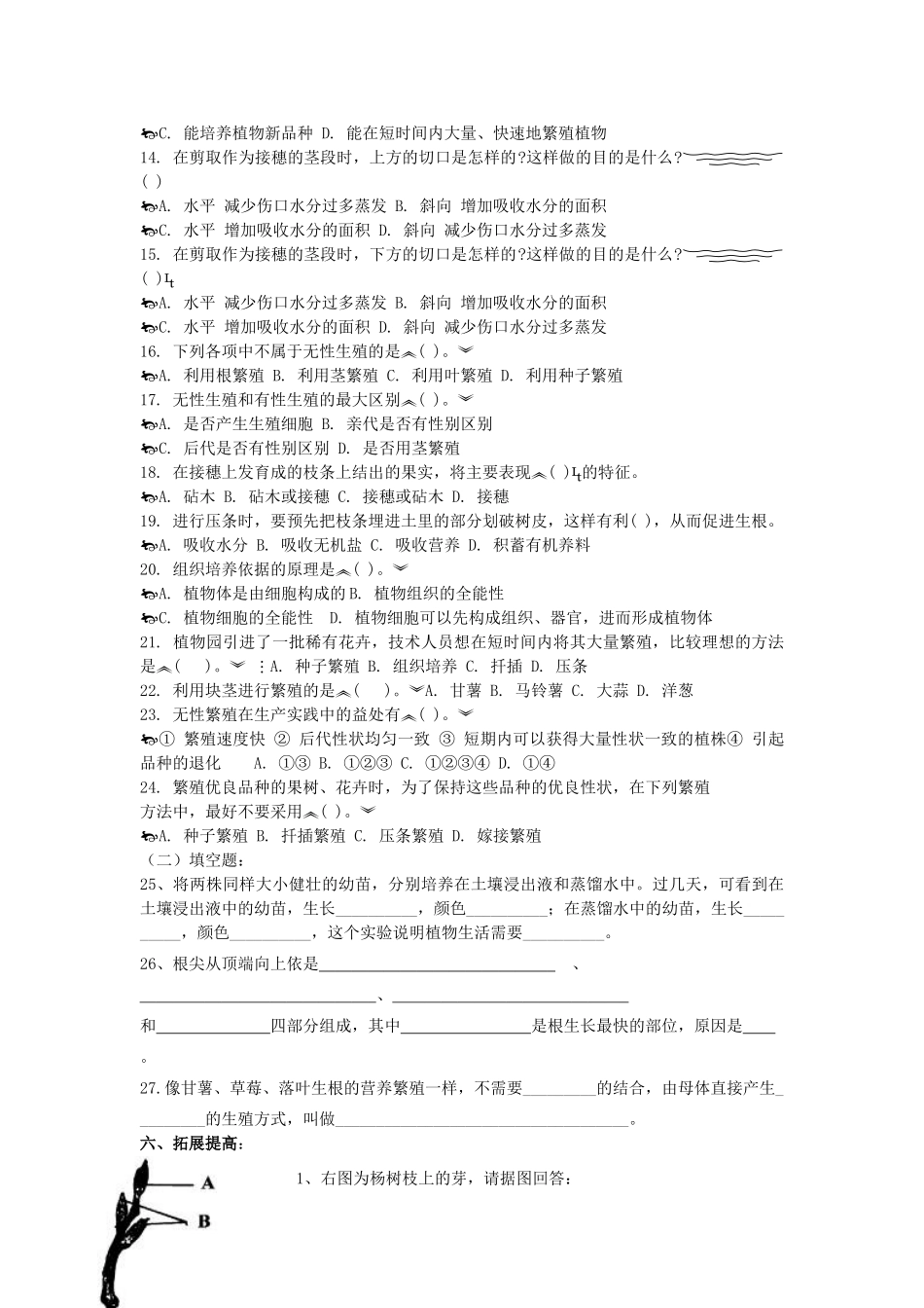 山东省重点中学八年级生物上册 第一章《绿色开花植物的一生》4—7节复习学案 济南版_第3页