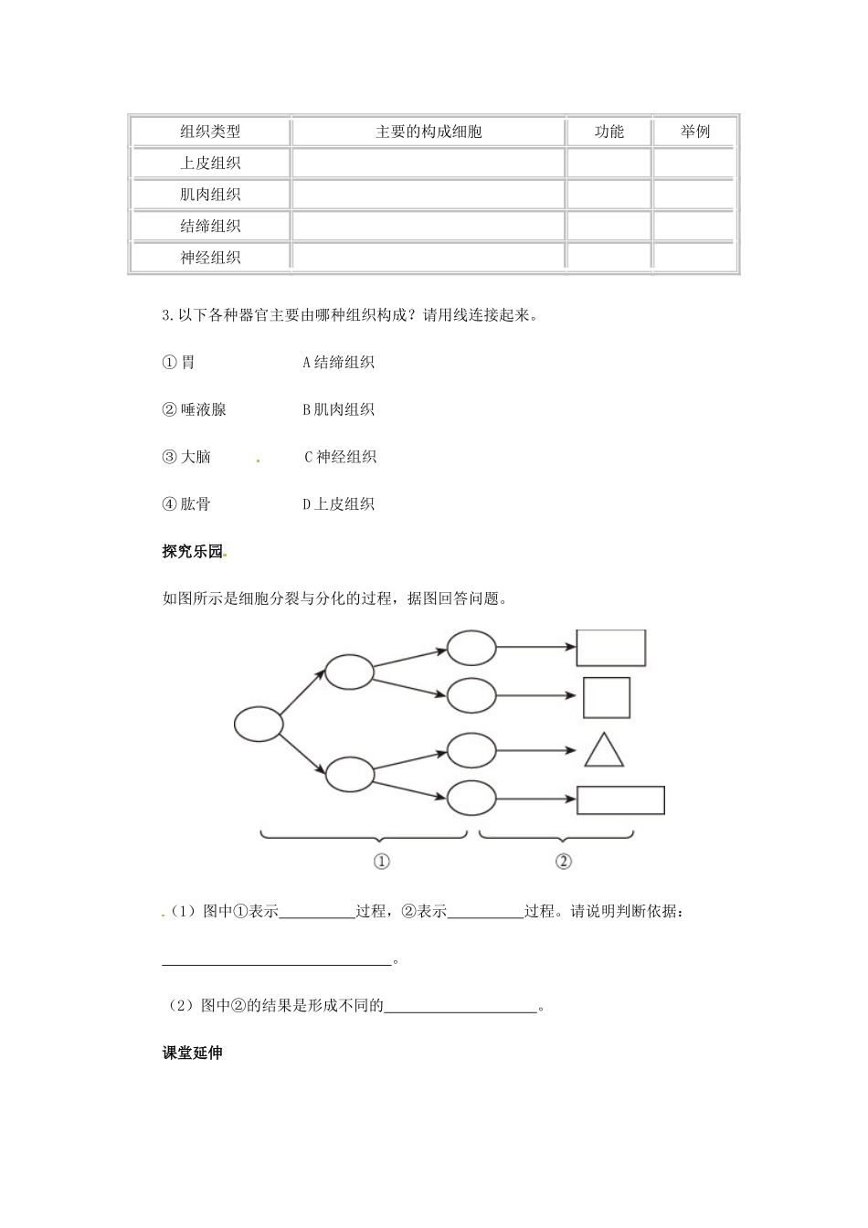 天津市小站第一中学七年级生物上册 2.3.1 动物体的结构层次同步练习 新人教版_第2页