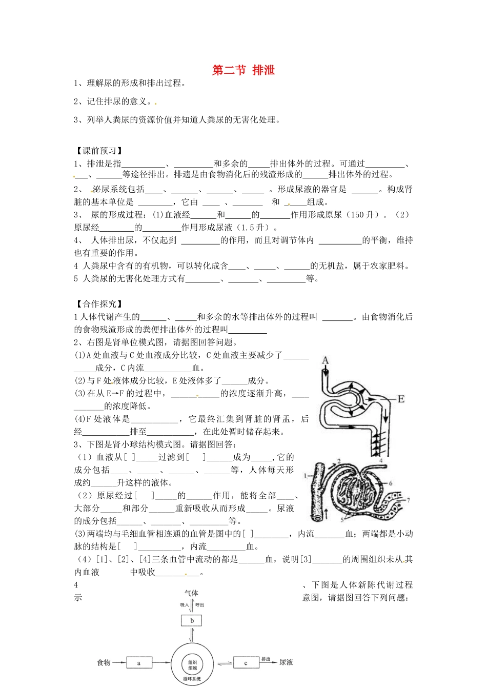 重庆市江津五中七年级生物下册 第三章 健肺强身 精力充沛 第二节 排泄学案（无答案）_第1页