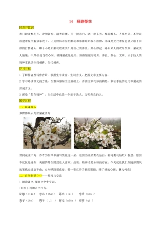 （秋季版）内蒙古乌海市七年级语文下册 第四单元 14 驿路梨花学案 新人教版-新人教版初中七年级下册语文学案