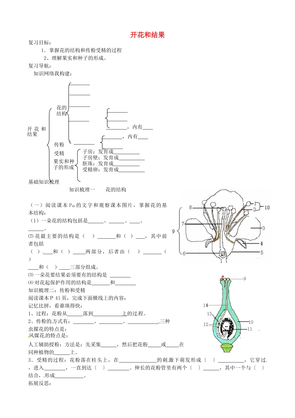山东省肥城市安站中学七年级生物下册 开花和结果复习学案（无答案） 鲁科版_第1页