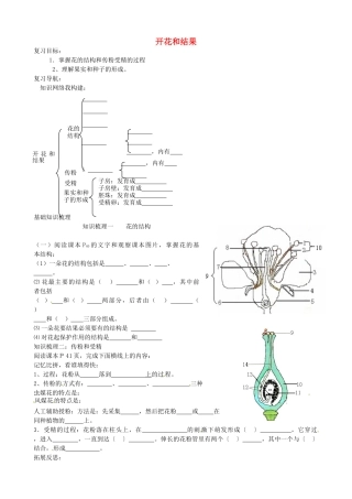 山东省肥城市安站中学七年级生物下册 开花和结果复习学案（无答案） 鲁科版