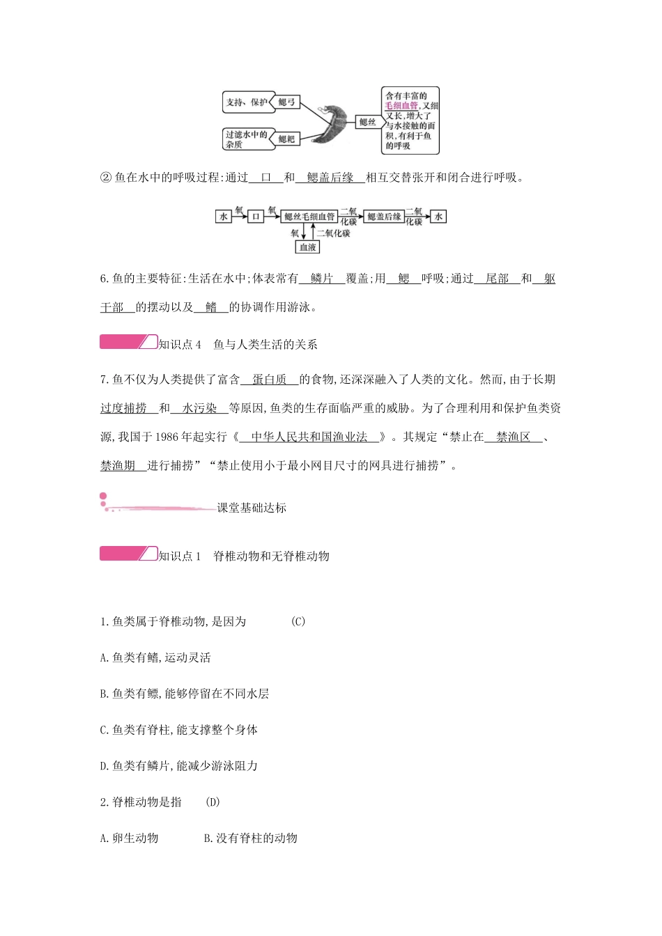 秋八年级生物上册 5.1.4 鱼学案 （新版）新人教版-（新版）新人教版初中八年级上册生物学案_第2页